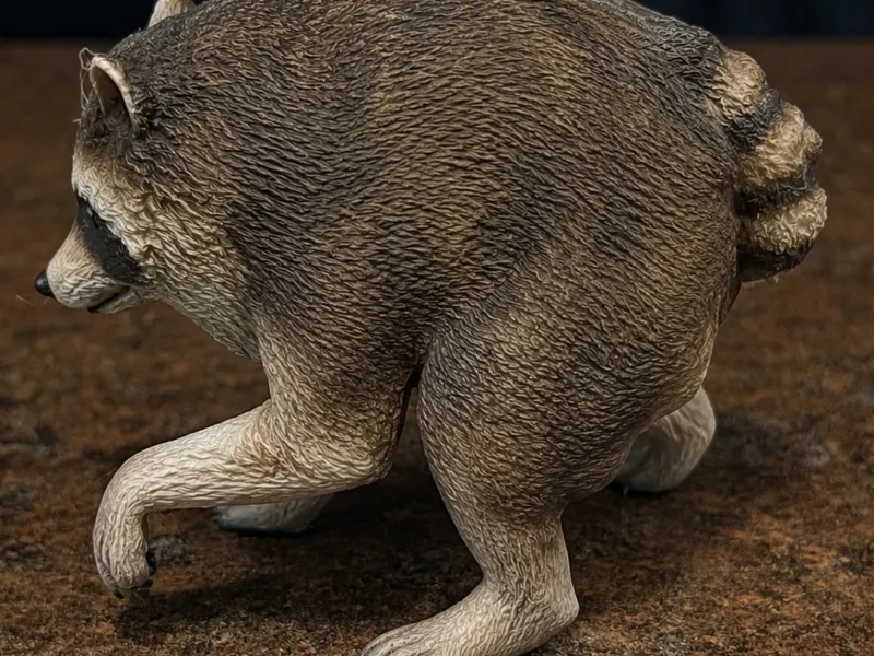 Jimothy der Waschbär
