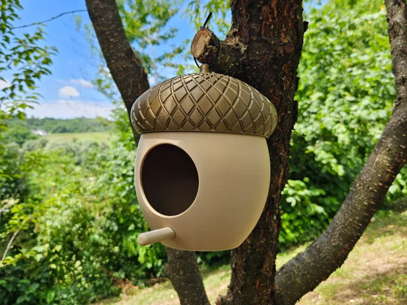 Acorn birdhouse