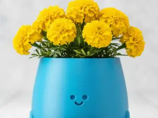 Cute Plant Pot