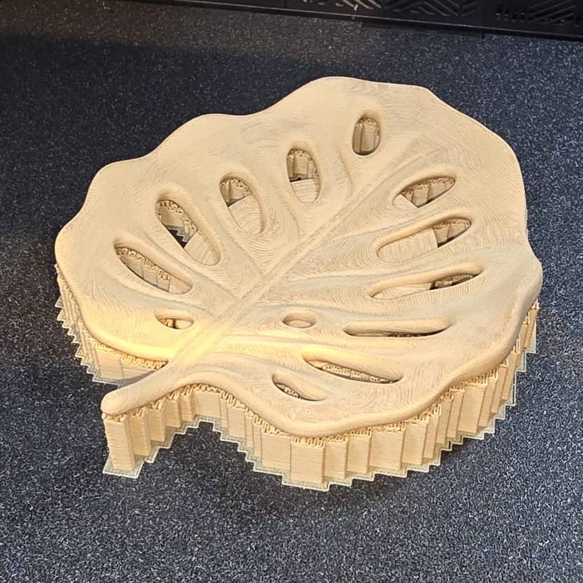 Home print settings: monstera-leaf.3mf