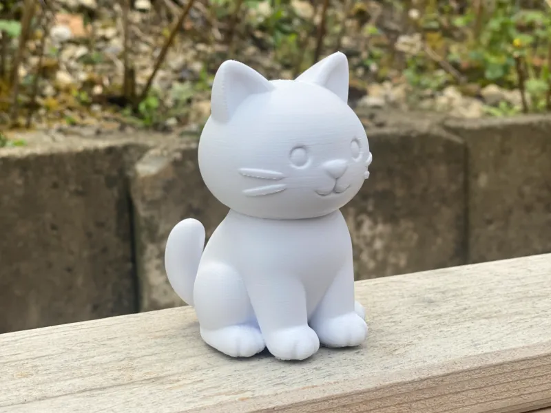 Adorable Petit Chat