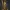Solarion Warden holy elite game rpg