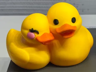 Couple Ducks 3c crea