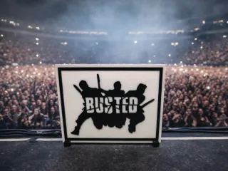Busted Framed