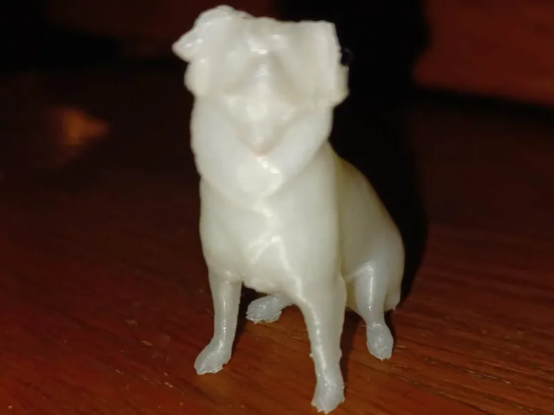 我的混血犬CandyBean