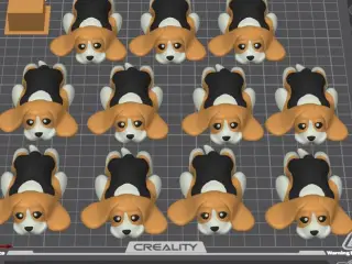 Cute Dog