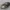 Nissan Skyline GT-R 2002