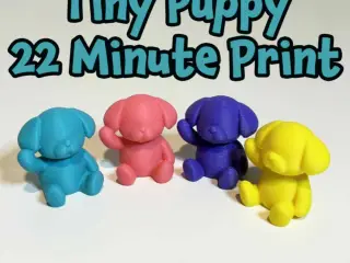 Tiny Puppy