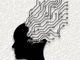 expanding brain circuit WALL ART HOME DECOR-0