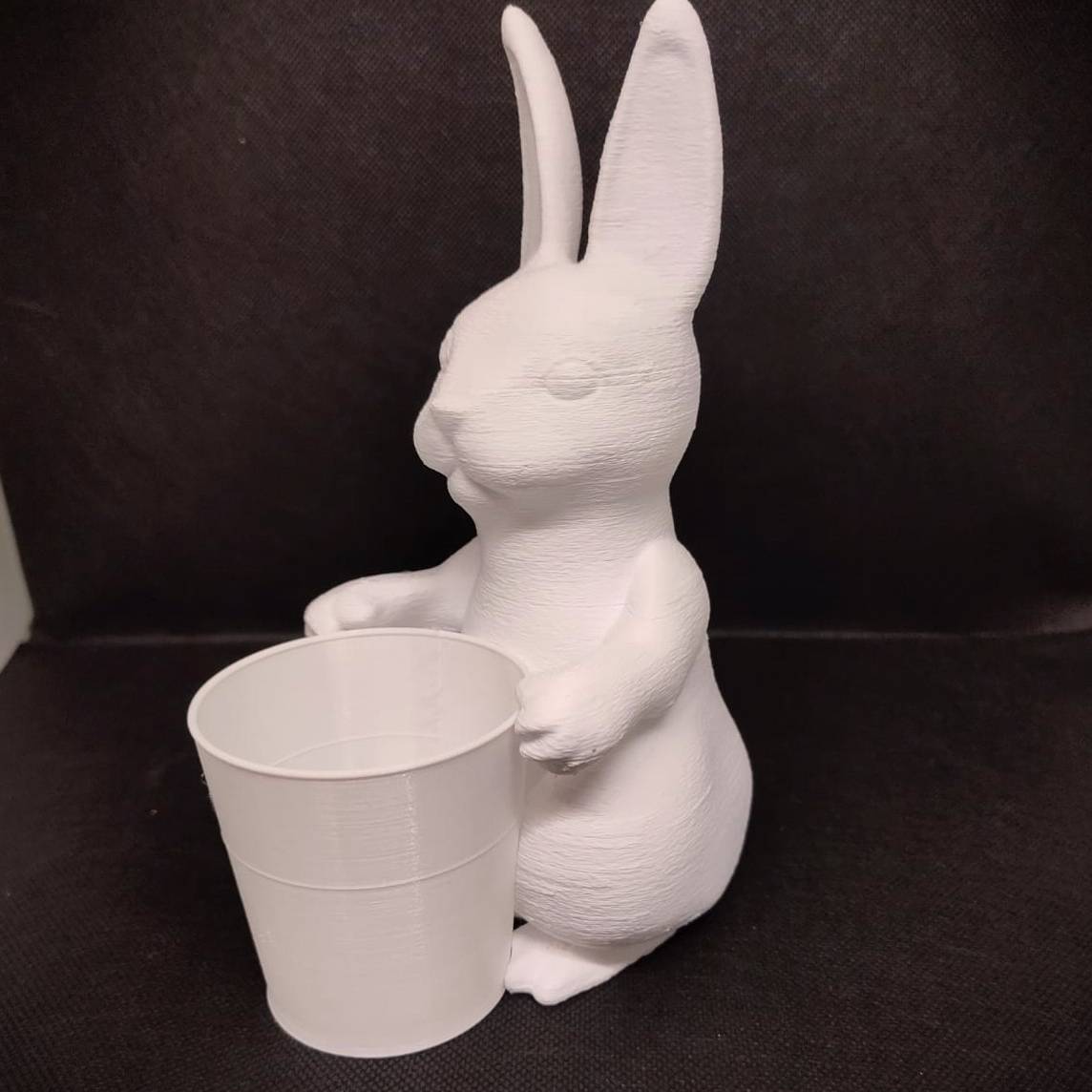 Bunny holding a basket - Conejo sosteniendo un canasto