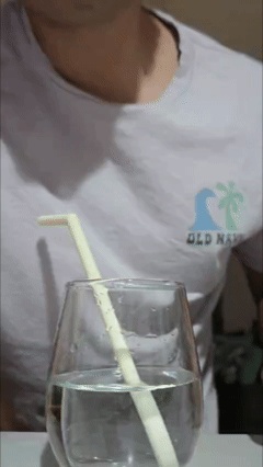 Fake Bent Curved Straw/Straight Straw