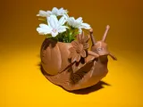 Snail decorative pattern-0