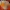 magic_card_wand_V2_complete