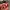 Nintendo Switch 2 Keychain