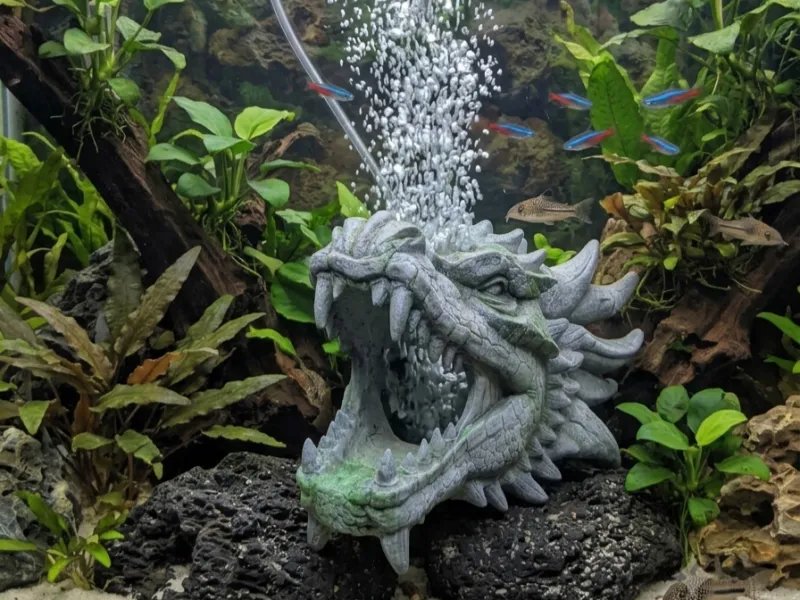 龙空气
