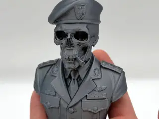 General Skully