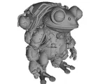 Frog View-0