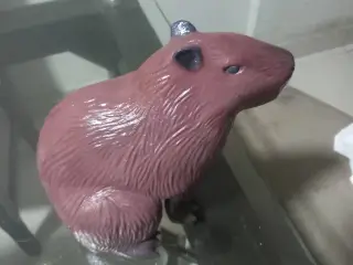 Capibara