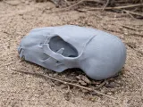 Black Bear Skull-0