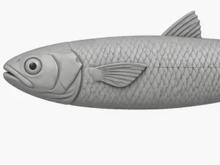 Mullet lure 1
