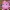 プリン Alexa