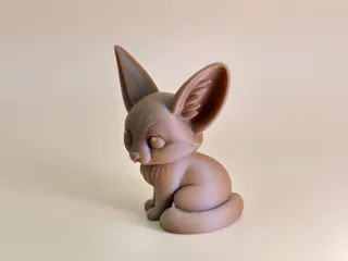耳廓狐