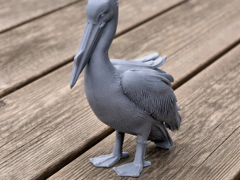 Great White Pelican