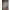 Champagne_Corset_Eleg
