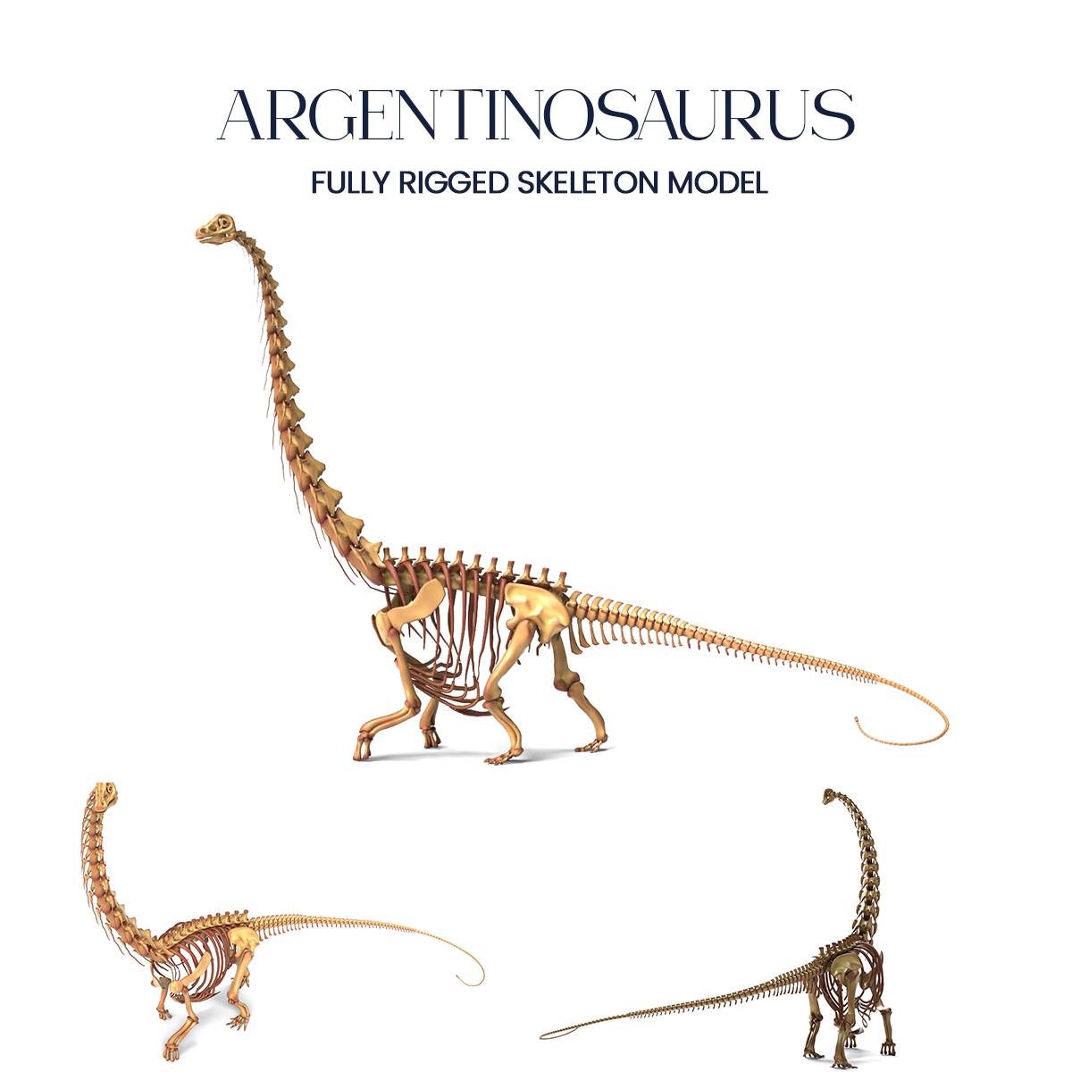 Argentinosaurus Skeleton – 3D Printable Fossil Model