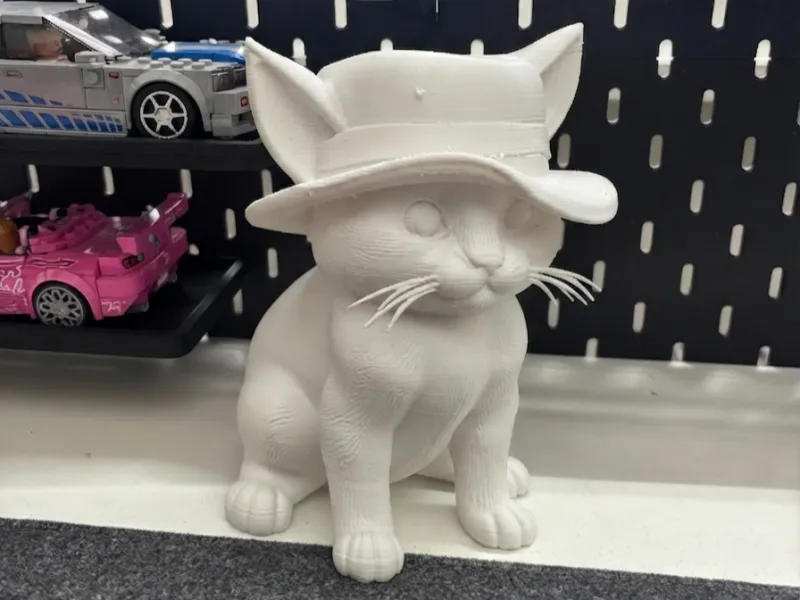 Febre dos Gatinhos com Chapéu!