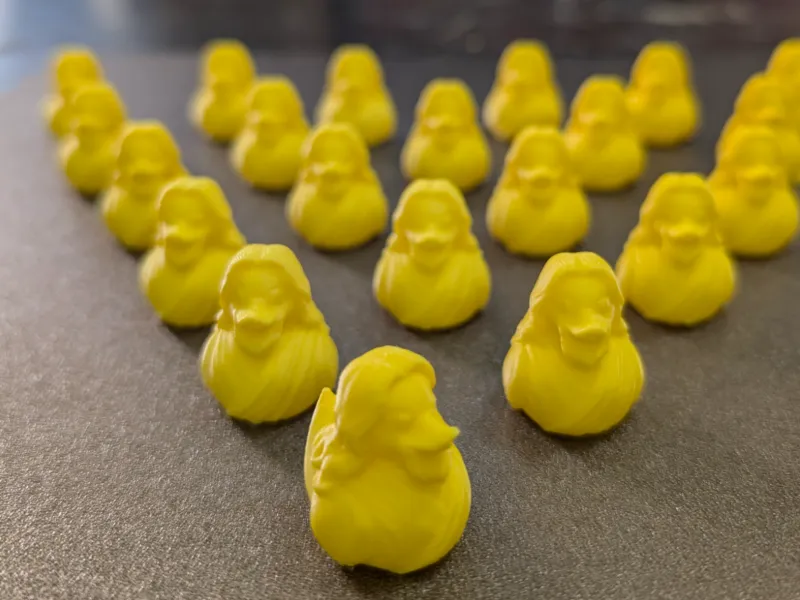 Jesus duck