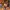 Will Byers Chibi – El Taller de Mateo