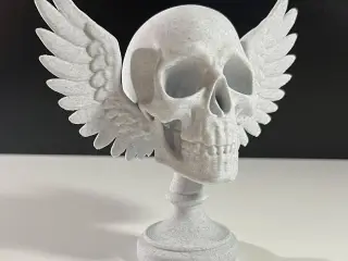 Angel Skull