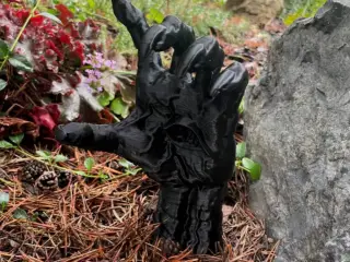 The witch's hand