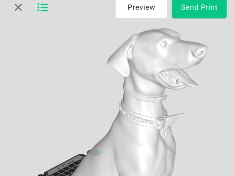 Friendly dog