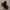 Gear-Door Horn v1.5