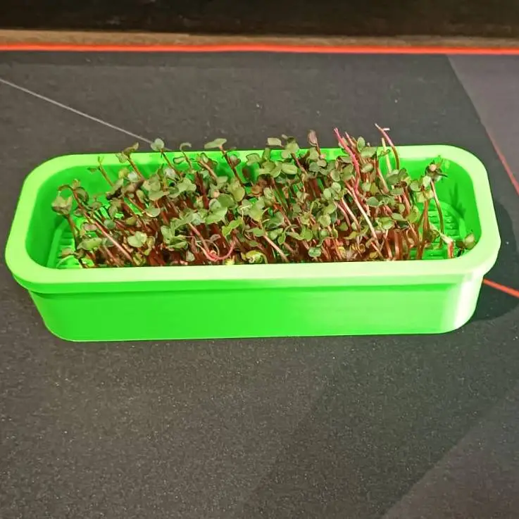 Seed Germinator