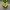 Mystery-Box-Blumentopf inspiriert von Super Mario