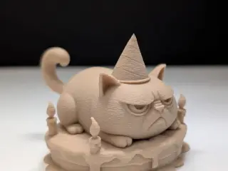 Grumpy Cat on a Cake