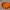 Jack O Lantern Bardak Altlığı