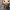 Funko POP Marvel: The Infinity Saga - Bro Thor/Thor (Specia