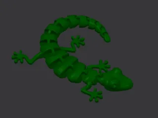 cool muti color lizard