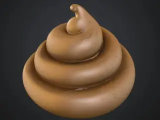 Realistic poop Toy prank