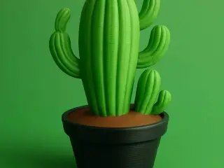 Cactus in pot