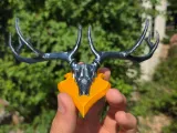 Deer Trophy-0