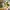 Decorative Flower Branch – Floral Wall & Home Decoration