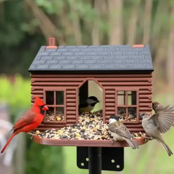 Mangeoire pour oiseaux en forme de cabane en rondins, conception sans support