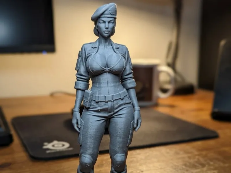 sexy military woman
