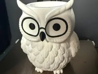 Cute Chibi Owl Planter with Glasses | Drain Hole |