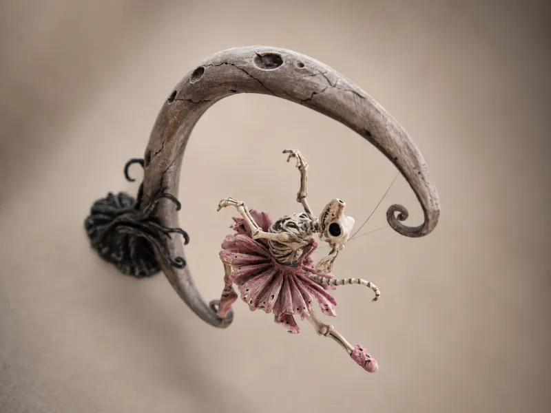The Last Pirouette